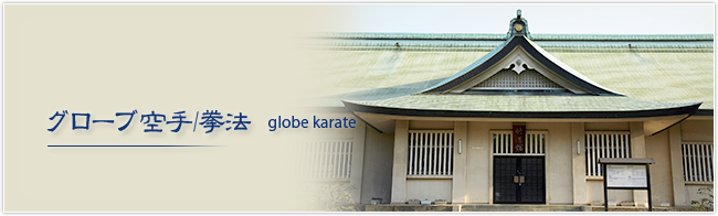 グローブ空手/拳法